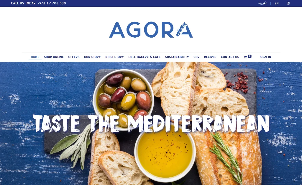 Agora Website 1